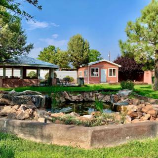 A serene garden featuring a pond, surrounded by greenery and a small shed in the background under a clear blue sky.