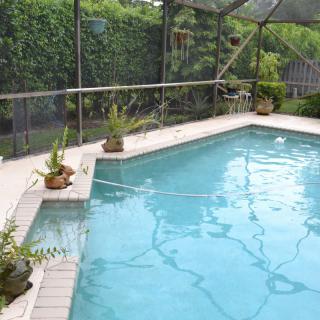 Screened outdoor swimming pool with surrounding plants.