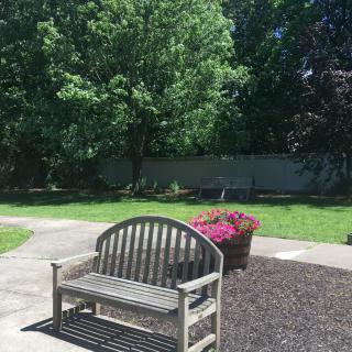 A peaceful garden scene with a wooden bench, vibrant flowers, and lush green trees.