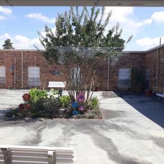 A serene courtyard featuring a tree and colorful plants, surrounded by brick buildings under a clear blue sky.