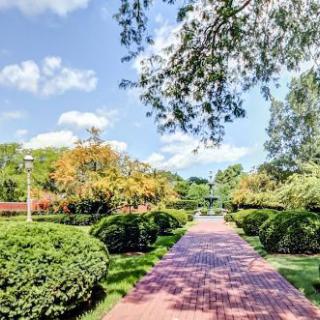 A scenic park pathway surrounded by lush greenery and trees.