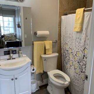 A modern bathroom featuring a sink, toilet, and a shower with a decorative curtain.