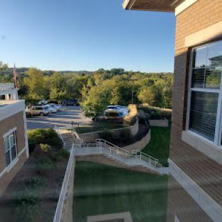 A serene view from a balcony showcasing lush greenery and parked cars below.