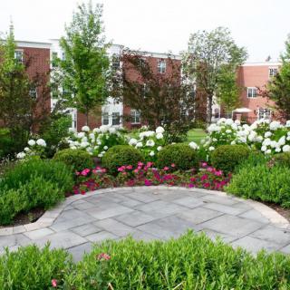 A beautifully landscaped garden with vibrant flowers and a paved pathway.