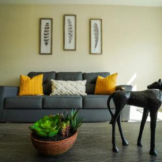 A stylish living room with a grey sofa adorned with yellow and patterned cushions, a coffee table featuring a succulent arrangement, and decorative artwork on the wall.