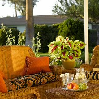 A cozy outdoor patio setting with wicker chairs, colorful cushions, and a table set with refreshments and plants.