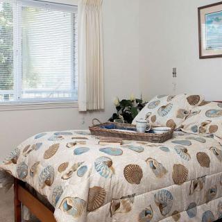 A cozy bedroom with patterned bedding and a bright window letting in natural light.
