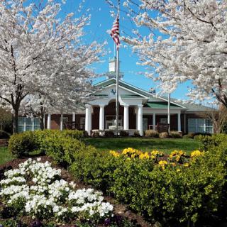 A beautiful spring day showcasing a charming building surrounded by blooming cherry trees and vibrant flowers.