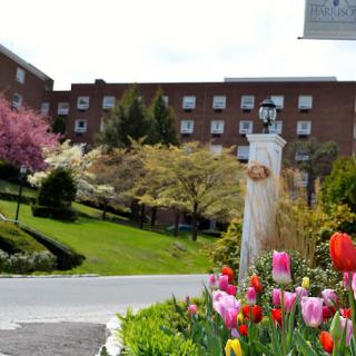 A picturesque garden with colorful spring flowers in front of a brick building.
