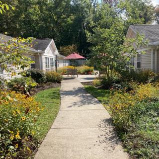 A peaceful garden path flanked by small houses and lush greenery.
