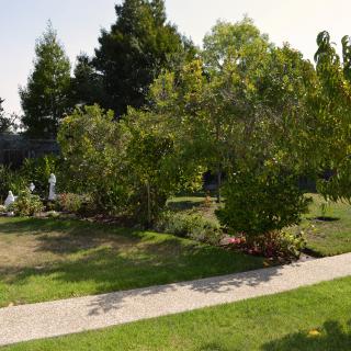 A scenic garden features lush trees and a winding pathway.
