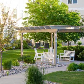 A serene garden with a pergola and outdoor seating area surrounded by lush greenery.