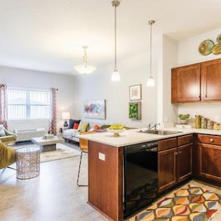 A stylish and modern apartment featuring an open-concept kitchen and living area, filled with natural light.