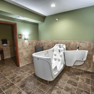 Spacious bathroom with a walk-in bathtub and green walls.