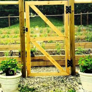 A wooden garden gate surrounded by potted plants.