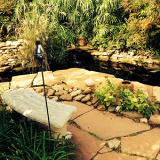 A serene garden scene featuring a stone path, bench, and pond surrounded by lush greenery.
