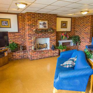 A cozy living room featuring a brick fireplace, blue sofa, and various plants.