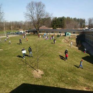 A community gathering in a green space, with people engaging in various activities on a sunny day.