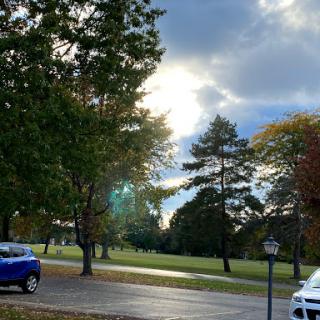A serene view of a park on a cloudy autumn day, with trees and cars visible.