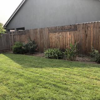 A well-maintained backyard garden with a wooden fence and lush green grass.