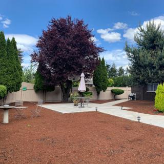 Beautifully landscaped backyard with a patio and vibrant trees.