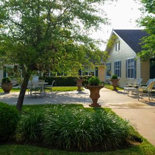 A serene garden patio with seating surrounded by lush greenery and sunshine.