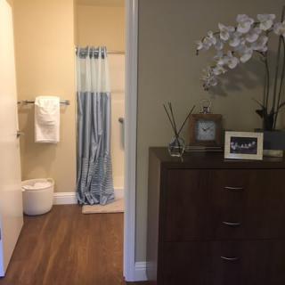 A cozy bathroom setup with a blue shower curtain and wooden cabinetry adorned with plants.