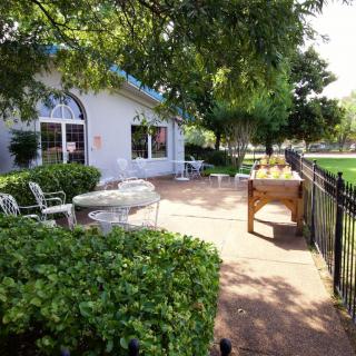 A peaceful outdoor patio area with tables and chairs surrounded by greenery.