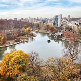 A serene view of a park during autumn, showcasing vibrant foliage and city buildings in the background.