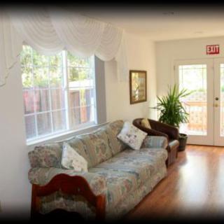 A cozy living room with a sofa and indoor plant, featuring a large window and wooden flooring.
