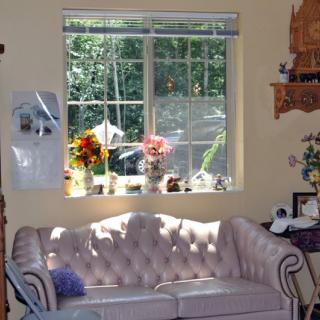 A cozy living room with a sunlit window adorned with flowers and a plush sofa.