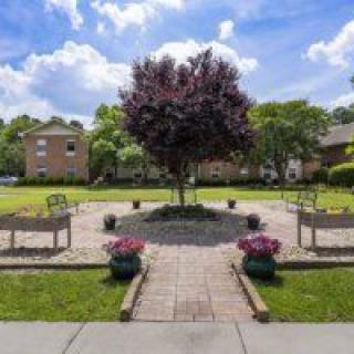 A beautiful garden with a central tree, surrounded by benches and colorful plants.