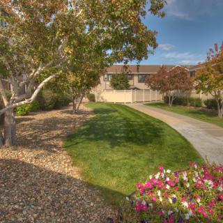 A scenic view of a lush garden with a winding pathway, surrounded by vibrant flowers and trees.