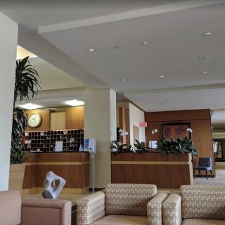 A hotel lobby with a reception desk, seating area, and decorative plants.