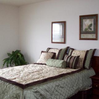 A neatly arranged bedroom with a comfortable bed, decorative pillows, framed artwork on the wall, and a potted plant in the corner.