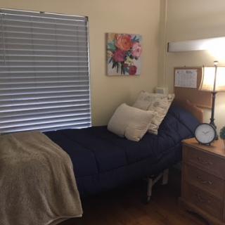 A cozy and well-decorated bedroom setup with a neatly made bed, decorative pillows, and a touch of artwork on the wall.