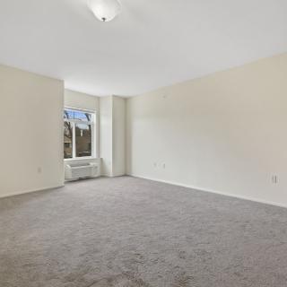 A spacious empty room with a carpeted floor and large window letting in natural light.