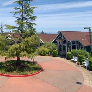 A scenic outdoor area with a tree, pathway, and building in the background.