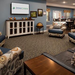 A cozy living room with comfortable seating, a television, and decorative elements.
