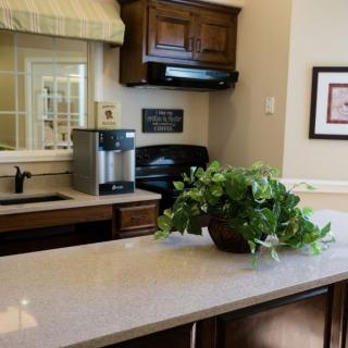A modern kitchen setup featuring a clean countertop with a sink, appliances, and a decorative plant.
