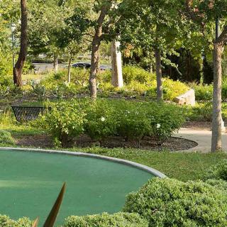 A serene garden with lush greenery and a winding pathway.