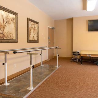 A well-lit rehabilitation room featuring parallel bars for physical therapy, decorated with wall art and equipped with a television.