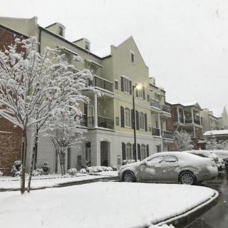 A snowy residential street with cars and trees covered in snow.