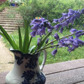 A charming vase filled with vibrant bluebell flowers sits on a porch, overlooking a lush garden.