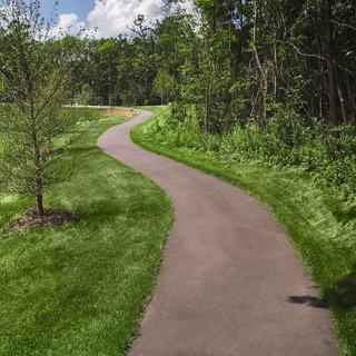 A winding path through a lush green park with trees and grass on either side.