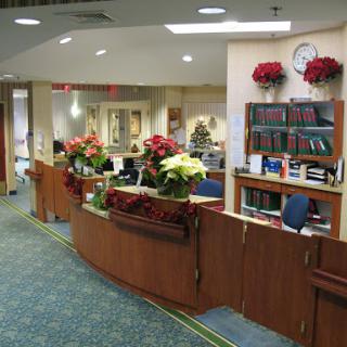 A decorated reception area with holiday plants and a welcoming atmosphere.