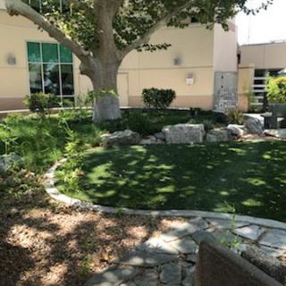 A serene garden area with lush green grass, trees, and decorative rocks.