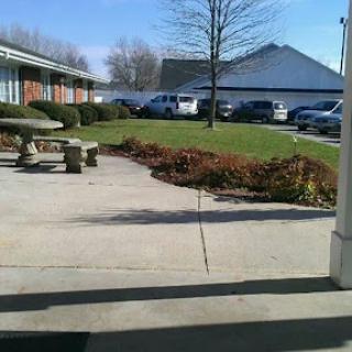 A serene outdoor view featuring a pathway, lawn, and nearby buildings under a clear blue sky.