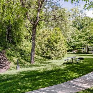 A serene park scene with a winding pathway, lush trees, and a bench under the sunlight.