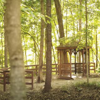 A serene gazebo nestled in a lush forest setting.